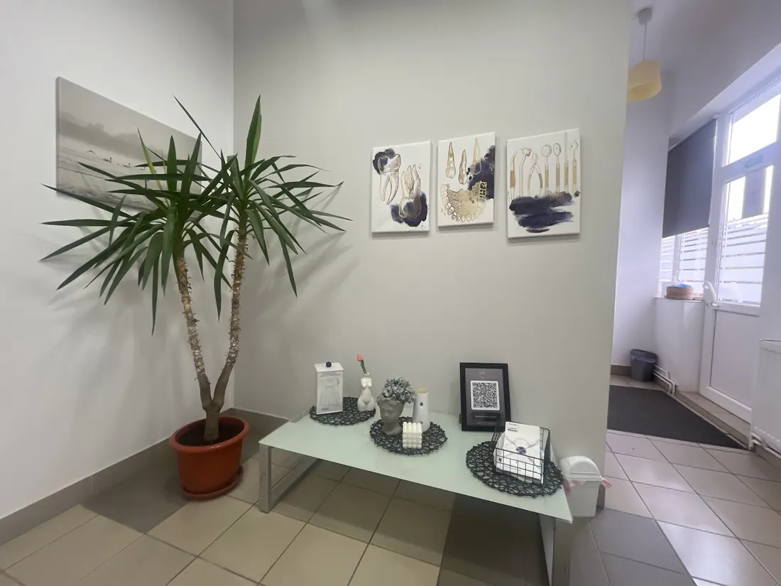 Sala de așteptare a cabinetului: o măsuță, un palmier și tablouri cu instrumente dentare